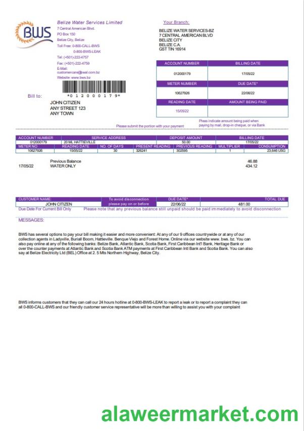 Belize Water Services Limited utility bill template in Word and PDF format